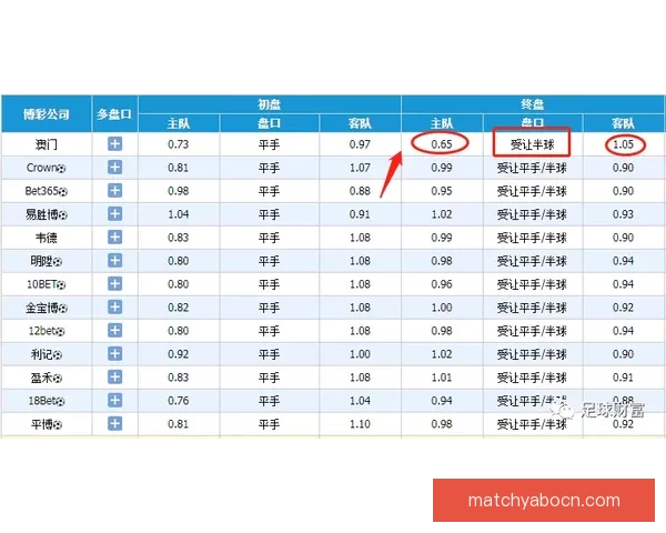 深度解析世界杯买球赔率变化规律与投注技巧全面指南 深度解析世界杯买球赔率变化规律与投注技巧全面指南